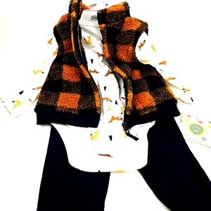 Little Me Baby Outfit Size 9m Boys Matching 3pc Set Bodysuit Pants Zip Vest Fox